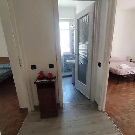 C&y Torelli 1 Novara