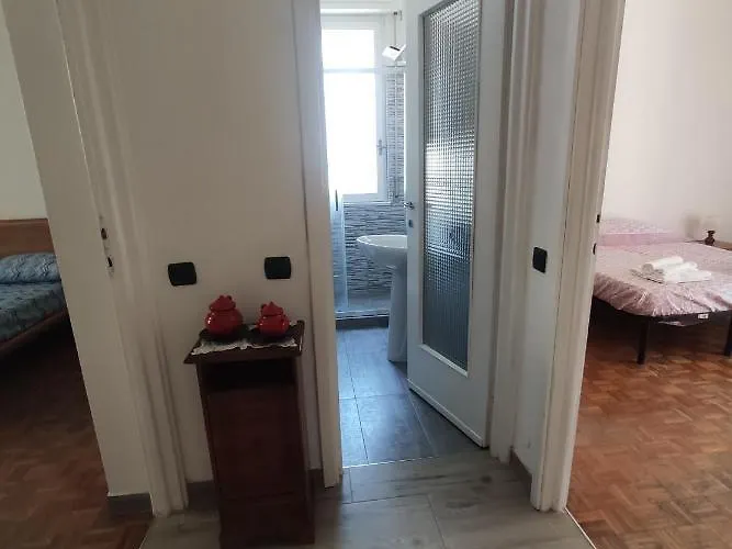 C&y Torelli 1 Novara